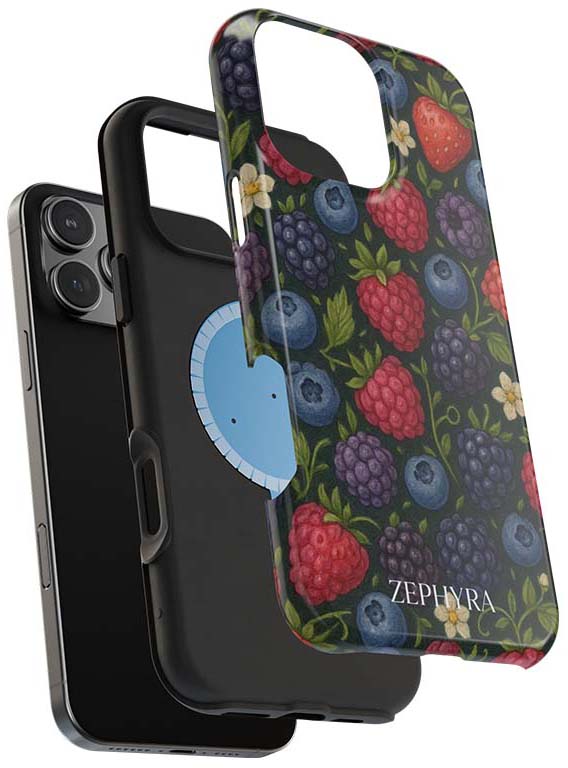 magsafe puzdro iphone 13 Pro